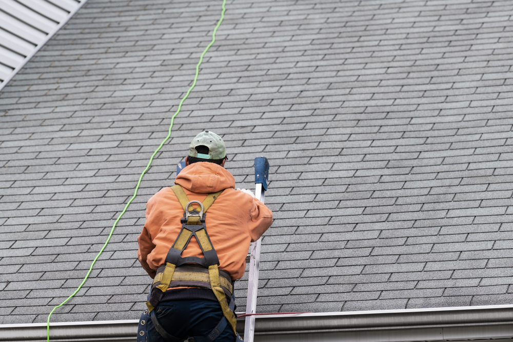How do you properly care for roof shingles